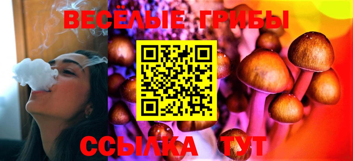 Галлюциногенные грибы MAGIC MUSHROOMS  Галлюциногенные грибы прущие грибы  Трёхгорный  Вход с VPN 